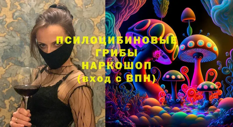 Псилоцибиновые грибы Cubensis  OMG tor  Приволжск 